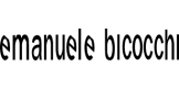 Emanuele Bicocchi