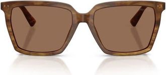 Jimmy Choo London 55mm Square Sunglasses in Brown Havana /Dark Brown at Nordstrom