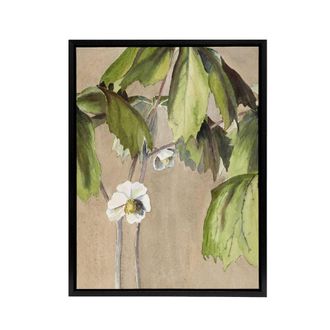 Artery8 May Apple Flower Watercolour Framed Canvas Wall Art Print Overbeck in Beige | Size: W24 x H32