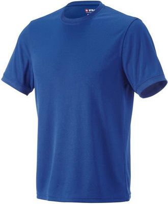 Strauss Performance T-Shirt in Royal Blue at Nordstrom, Size Xxx-Large
