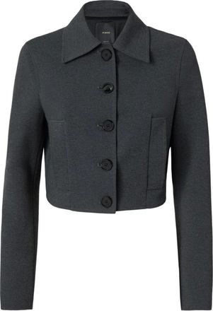 Pinko Mujer, Chaquetas, Gris, Talla: S