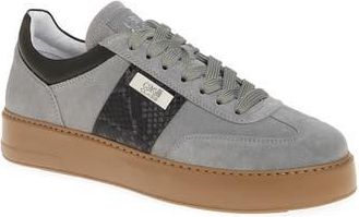 Roberto Cavalli Low Top Sneaker in Grey at Nordstrom Rack, Size 10.5