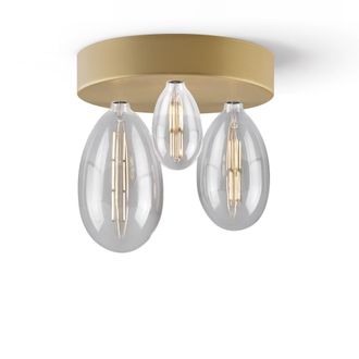 Daylight Italia L&aacute;mpara con roset&oacute;n dorado