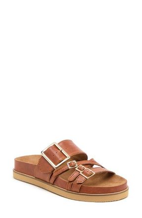 Kelsi Dagger Stella Buckle Slide Sandal in Auburn at Nordstrom, Size 5.5