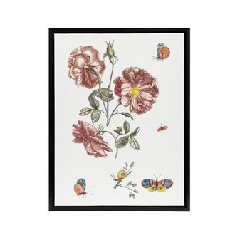Artery8 Rose Flowers Butterflies & a Snail Teyler Black Framed Canvas Art in White | Size: W24 x H32