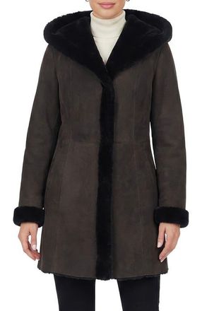 Gorski Merino Shearling Hooded Coat in Dark Brown at Nordstrom, Size X-Small
