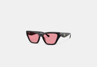 Coach C Hardware Cat Eye Sunglasses