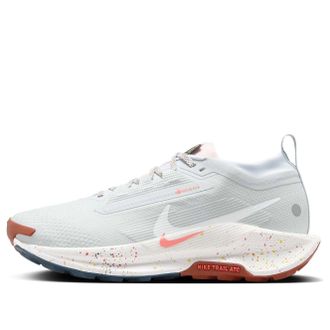 Nike (WMNS) Nike Pegasus Trail 5 Gore-Tex Pure Platinum Football Grey FQ0912-007
