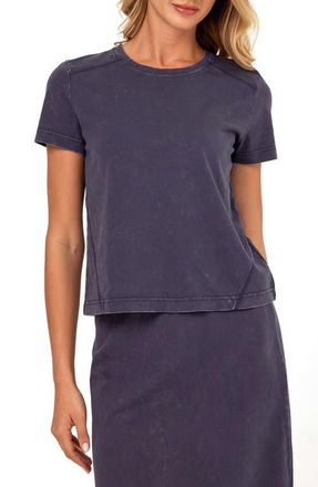 Threads 4 Thought Roselie Mineral Wash Cotton T-Shirt in Stargazer at Nordstrom, Size X-Large