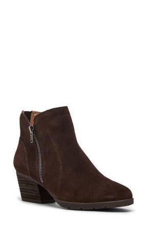Blondo Victoria Waterproof Bootie in Java Suede at Nordstrom Rack, Size 5.5