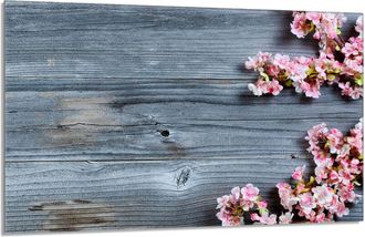 OEM Placa De Protecci&oacute;n De Estufa De Vidrio 80x52 Le&ntilde;a