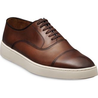 Allen Edmonds Park 2.0 Sneaker in Chili at Nordstrom, Size 10.5