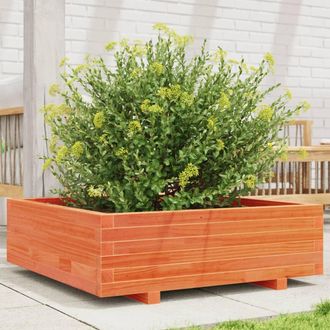 Berkfield Home Garden Planter Wax Brown 80x80x26.5 cm Solid Wood Pine