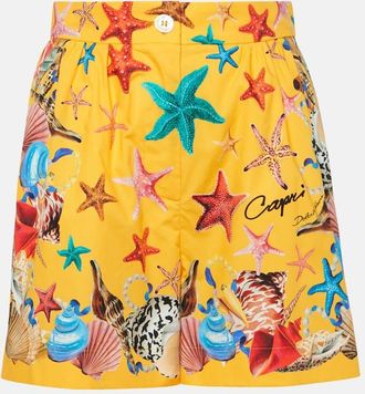 Dolce & Gabbana Capri printed high-rise cotton shorts
