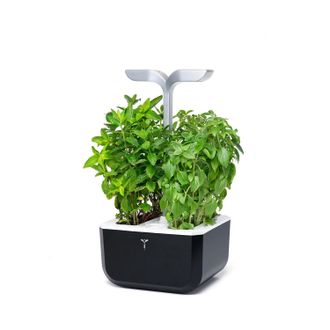 V&eacute;ritable Exky Smart Indoor Garden