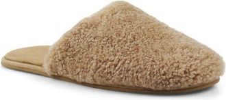 Artisan by Zigi Essexx Slipper in Natural at Nordstrom, Size 10
