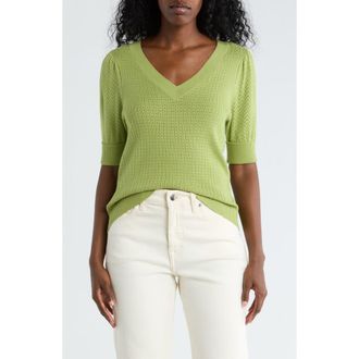 Daniel Rainn Pointelle Stitch Sweater in Apple Green at Nordstrom Rack, Size X-Small