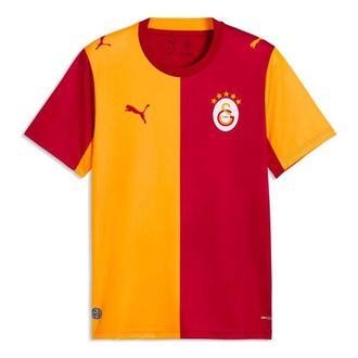 Puma Galatasaray 26 27 Home Jersey Red Yellow 784991-01