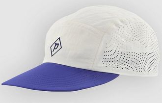 Patagonia Maclure St Cap