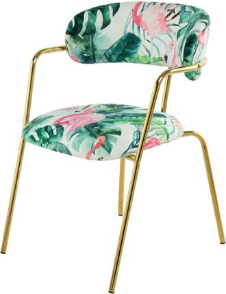 Alpha Collection Stuhl Glades 2er-Set - Multi