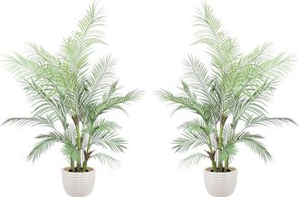 Creative Displays Inc. 5Ft Kentia Palm Drop-In Trees With Ceramic Pots