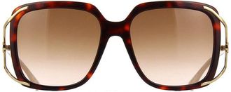 Gucci GG0647S002 Butterfly Havana-Gold Frame Sunglasses - Havana