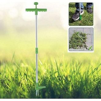 OEM Estensore Telescopico A Manico Lungo Per Prati, Orti E Giardini - Attrezzo Manuale Rotante Per Denti Di Leone E Ortiche