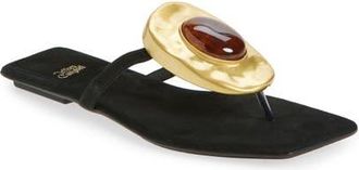 Jeffrey Campbell Bazaar Flip Flop in Black Suede Tortoise at Nordstrom, Size 7.5