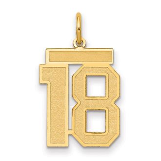 Diamond2Deal 14k Yellow Gold Medium Satin Number Charm Pendant