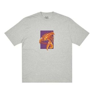 Palace FW22 Thermadore T-Shirt Grey P23TS070