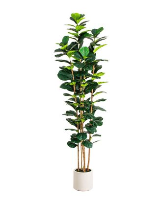Nearly Natural 8Ft Artificial Fiddle Leaf Tree In Decorative White Planter