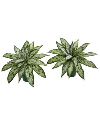 Nearly Natural Set Of 2 Silver Queen Artificial Plants In Green Planter
