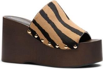 Stuart Weitzman Kate Platform Wedge Sandal in New Camel/shadow at Nordstrom, Size 8.5