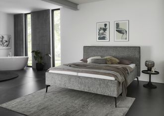 Meise.Möbel Polsterbett