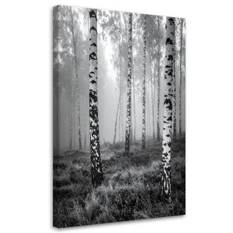 Feeby Impresi&oacute;n De Imagen, Bosque De Abedules Vista En Blanco Y Negro, 70x100