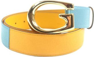 Gucci Pre-owned Belts, male, Multicolor, Size: ONE SIZE Pre-owned G logo Leather Belt