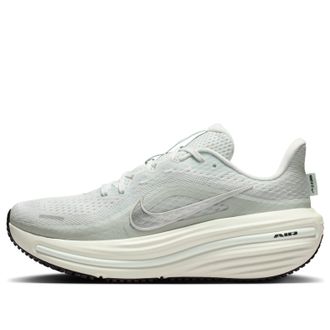 Nike (WMNS) Nike Winflo 12 Off White Barely Green Silver HV9273-104