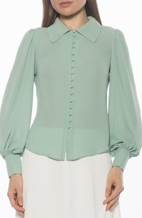 Alexia Admor Rah Covered Button-Down Top in Sage at Nordstrom Rack, Size 14