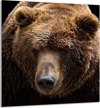 OEM Panel De Vidrio Para Cocina 60x65 Osito De Peluche