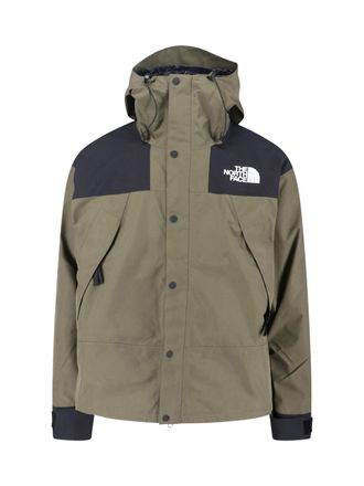The North Face gore-tex Mountain Jacket