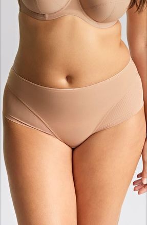 Panache Tango Essence Mesh Cheeky Briefs in Honey at Nordstrom, Size 3X-Large