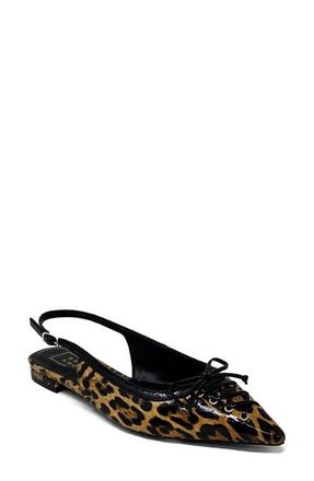 Shushop Amy Slingback Flat in Leopard Print at Nordstrom, Size 7.5