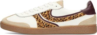 Haboob POLARO Dames Sneakers