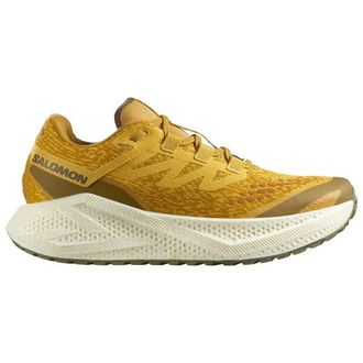 Salomon Aero Glide 3 GRVL Runningschuhe f&uuml;r Herren | beige