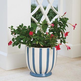 Ballard Designs Allison Stripe Planter - Ballard Designs