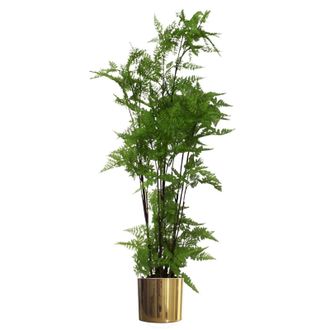 Leaf 150cm Artificial Natural Moss Base Fern Foliage Plant with Gold Metal Planter in Green