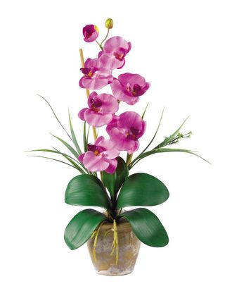 Nearly Natural Phalaenopsis Silk Orchid Flower Arrangement