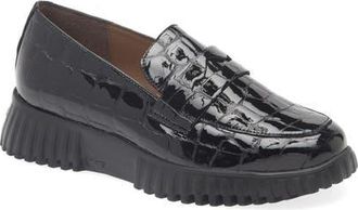 Wonders Flexfly 02 Loafer in Garda Black at Nordstrom, Size 9.5-10Us