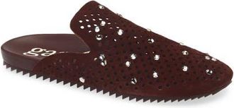 Pedro Garcia Braidy Studded Mule in Brunette Castoro-Greige at Nordstrom, Size 6.5Us