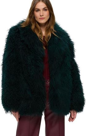 Gorski Genuine Shearling Short Jacket in Forest Green at Nordstrom, Size X-Small